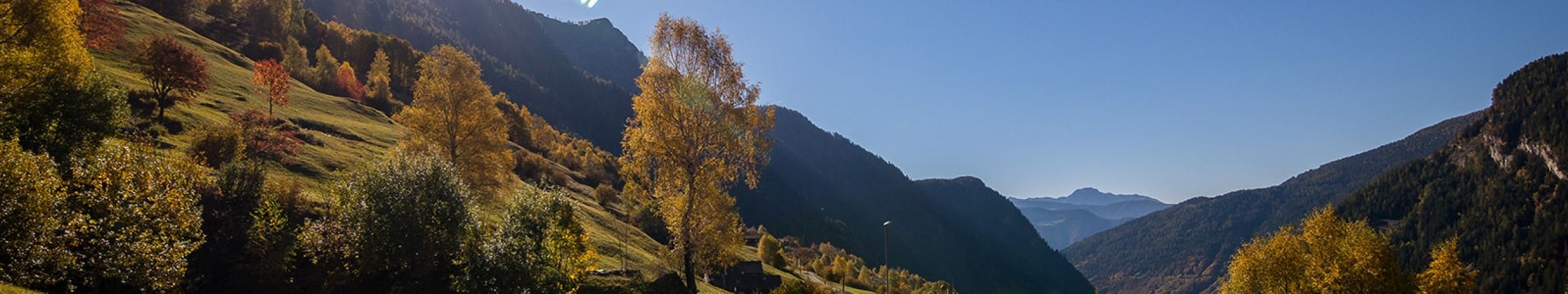 Amam Slide 1600x300 02