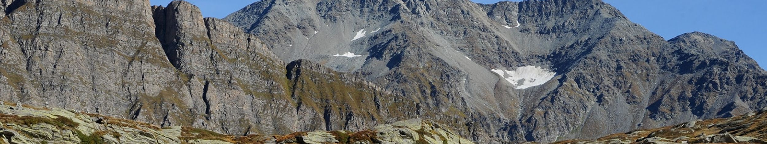 Amam Slide 1600x600 05